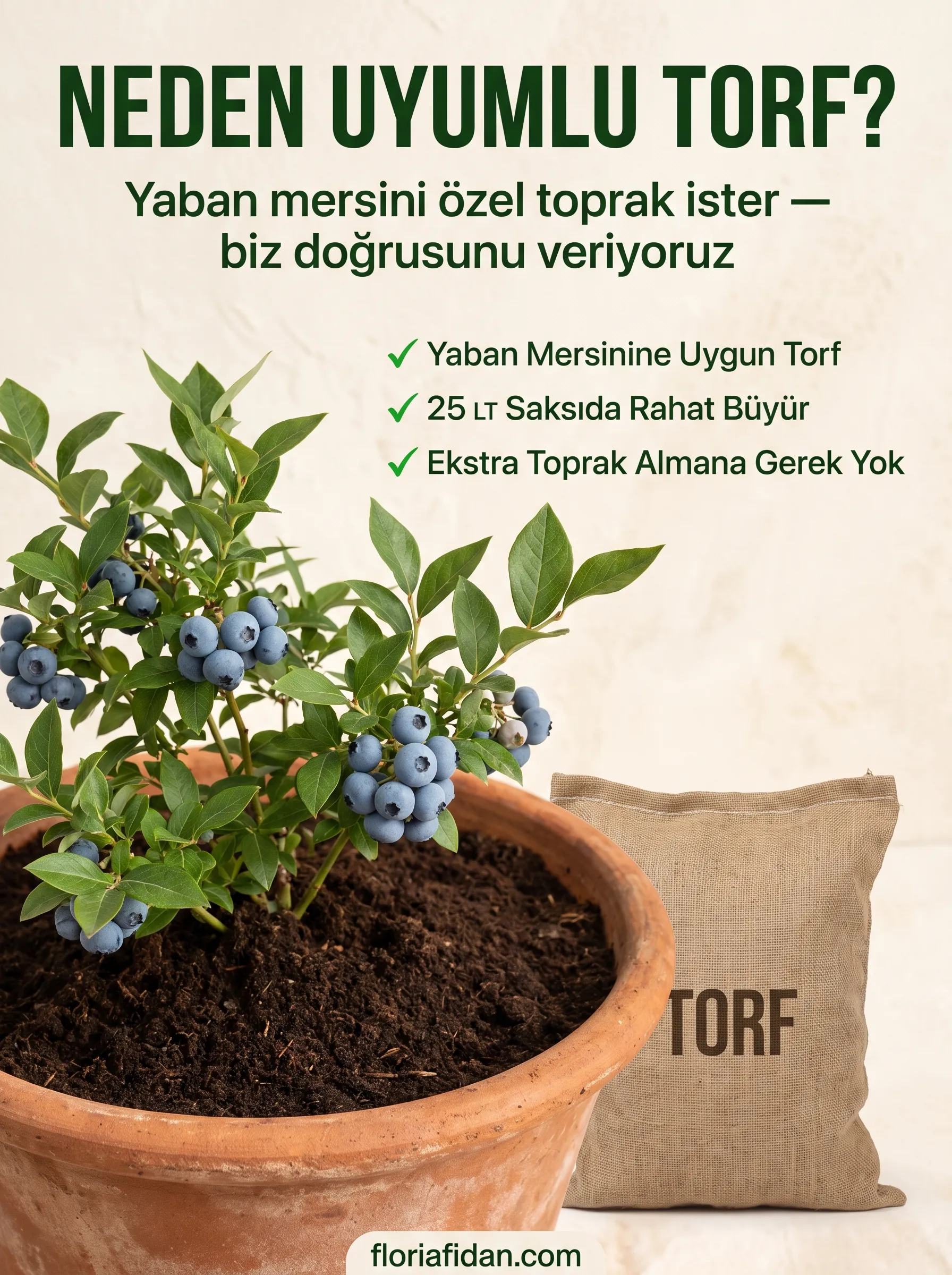YABAN MERSİNİ YETİŞTİRME SETİ  - Görsel 3