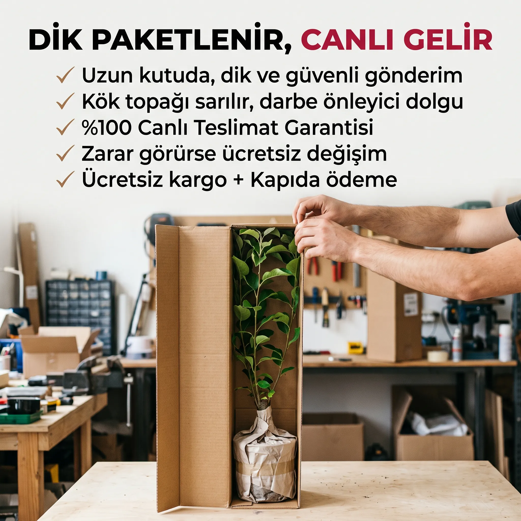5'Lİ ORMAN MEYVE PAKETİ  - Görsel 6
