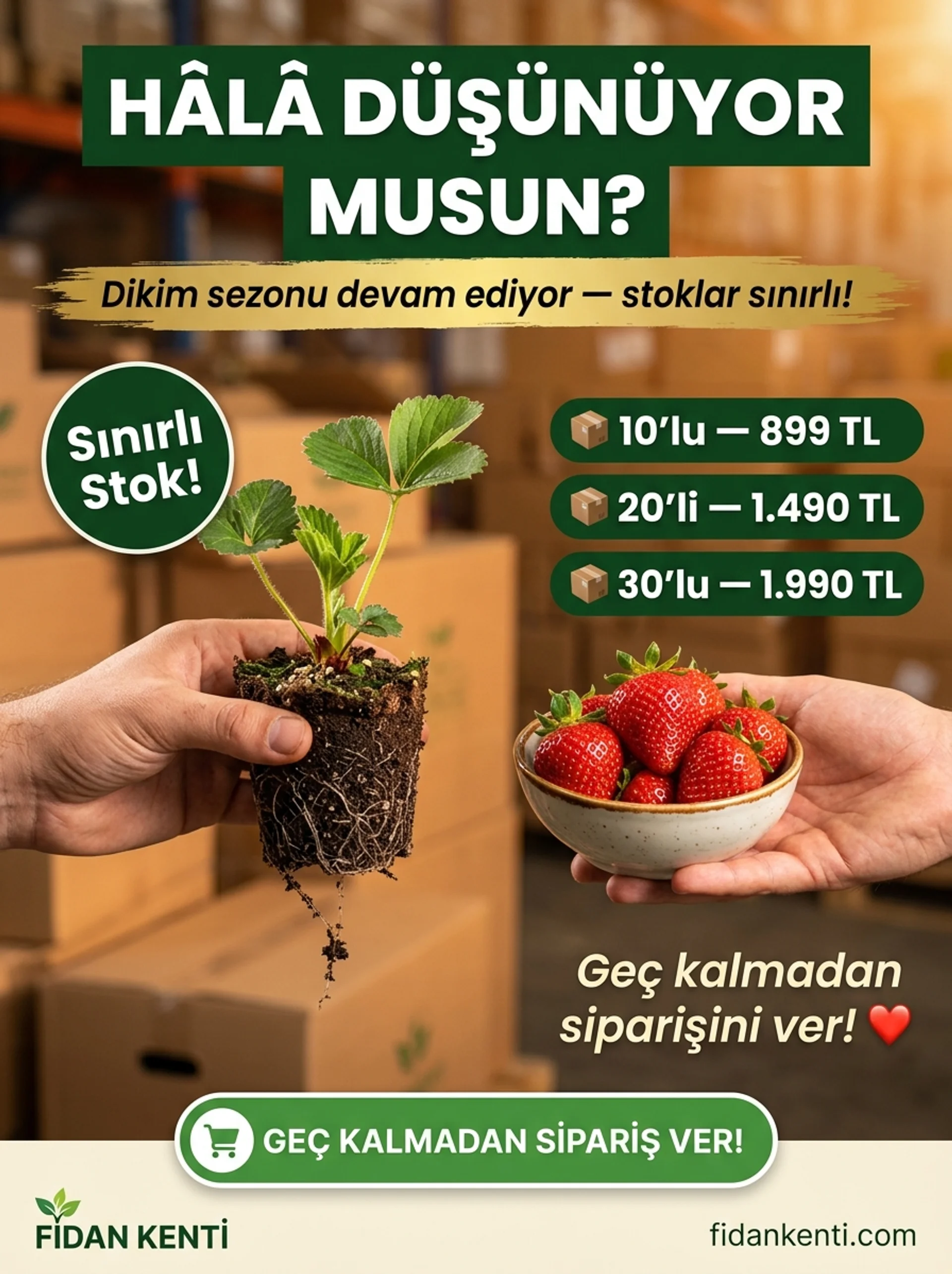 Albion Yediveren Çilek Kampanyası - Görsel 1