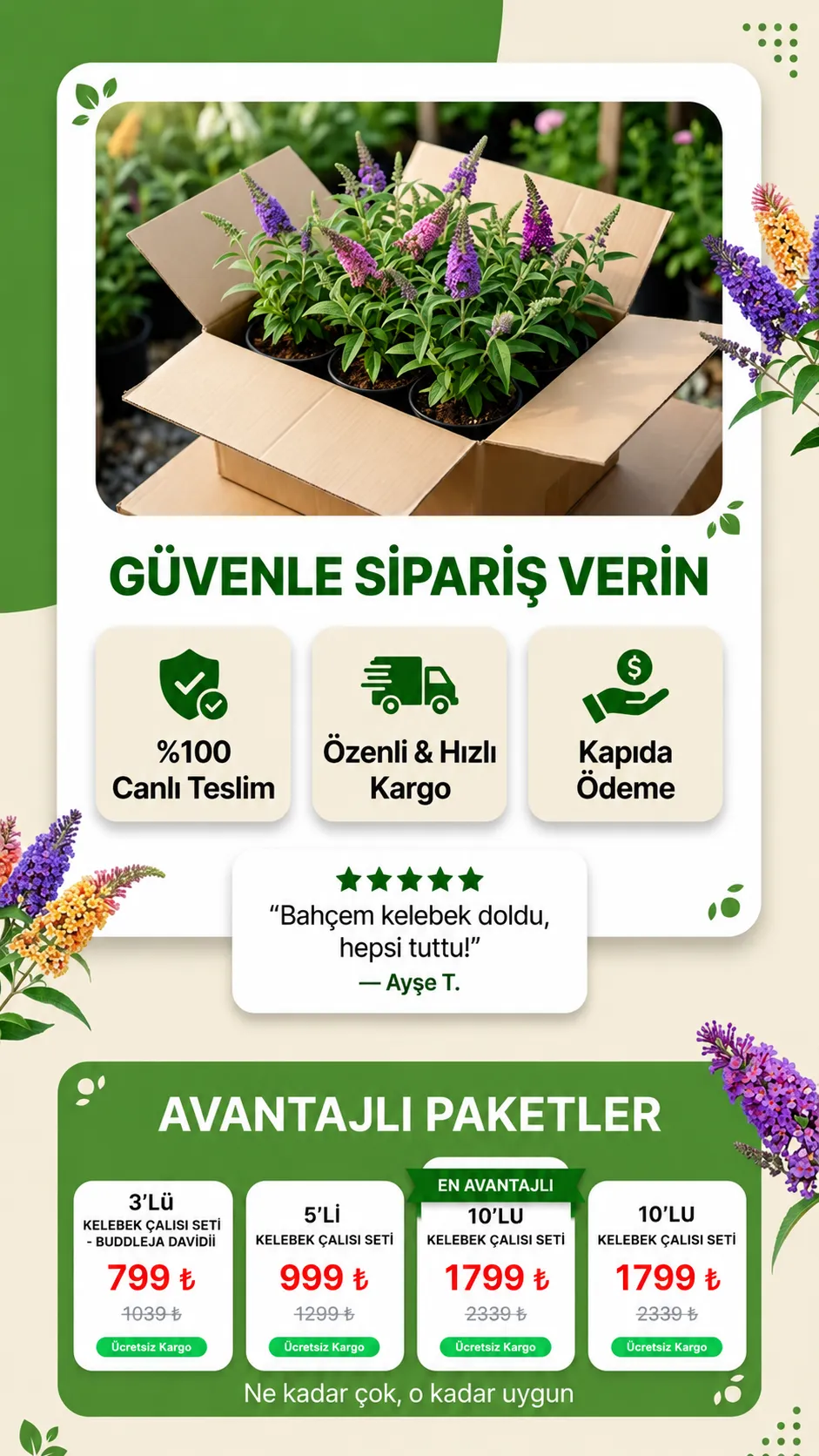 Kelebek Çalısı Seti - Görsel 2