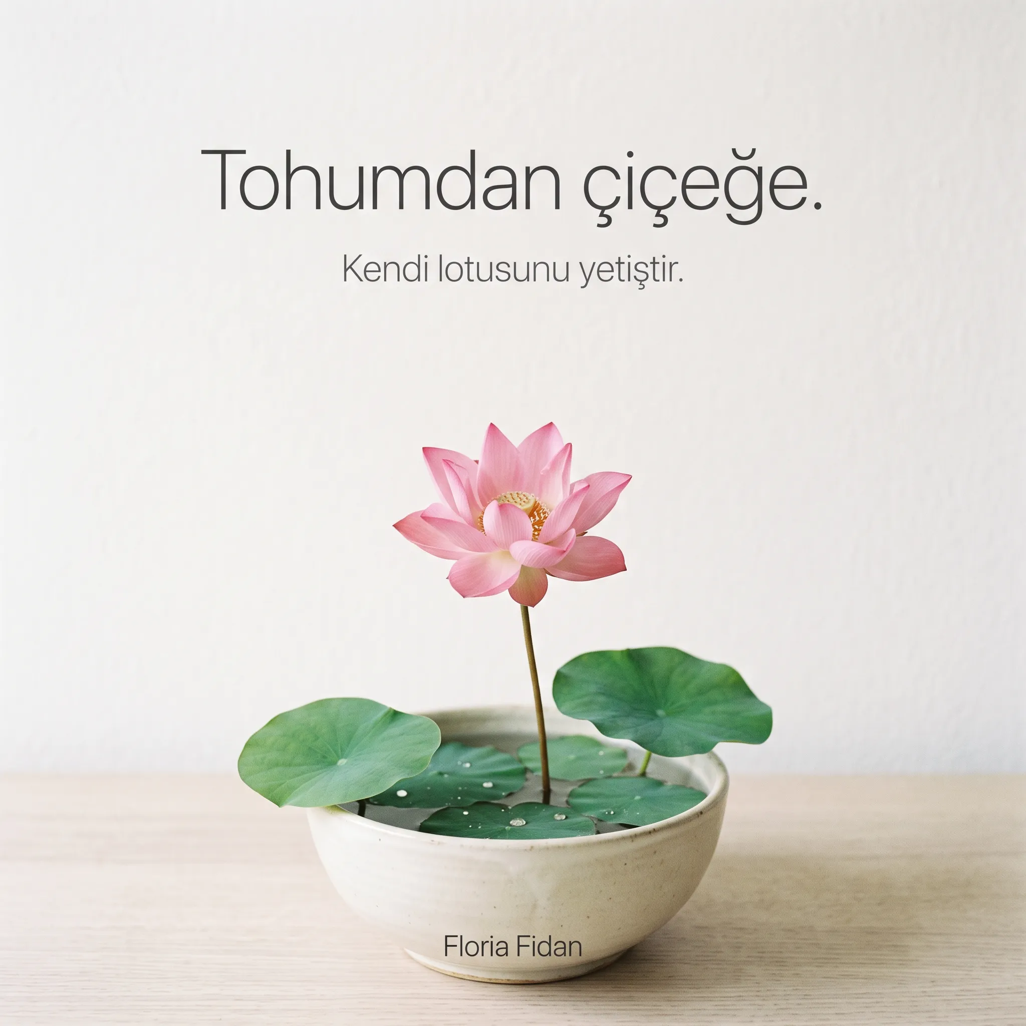 Lotus Yetiştirme Paketi - Görsel 3