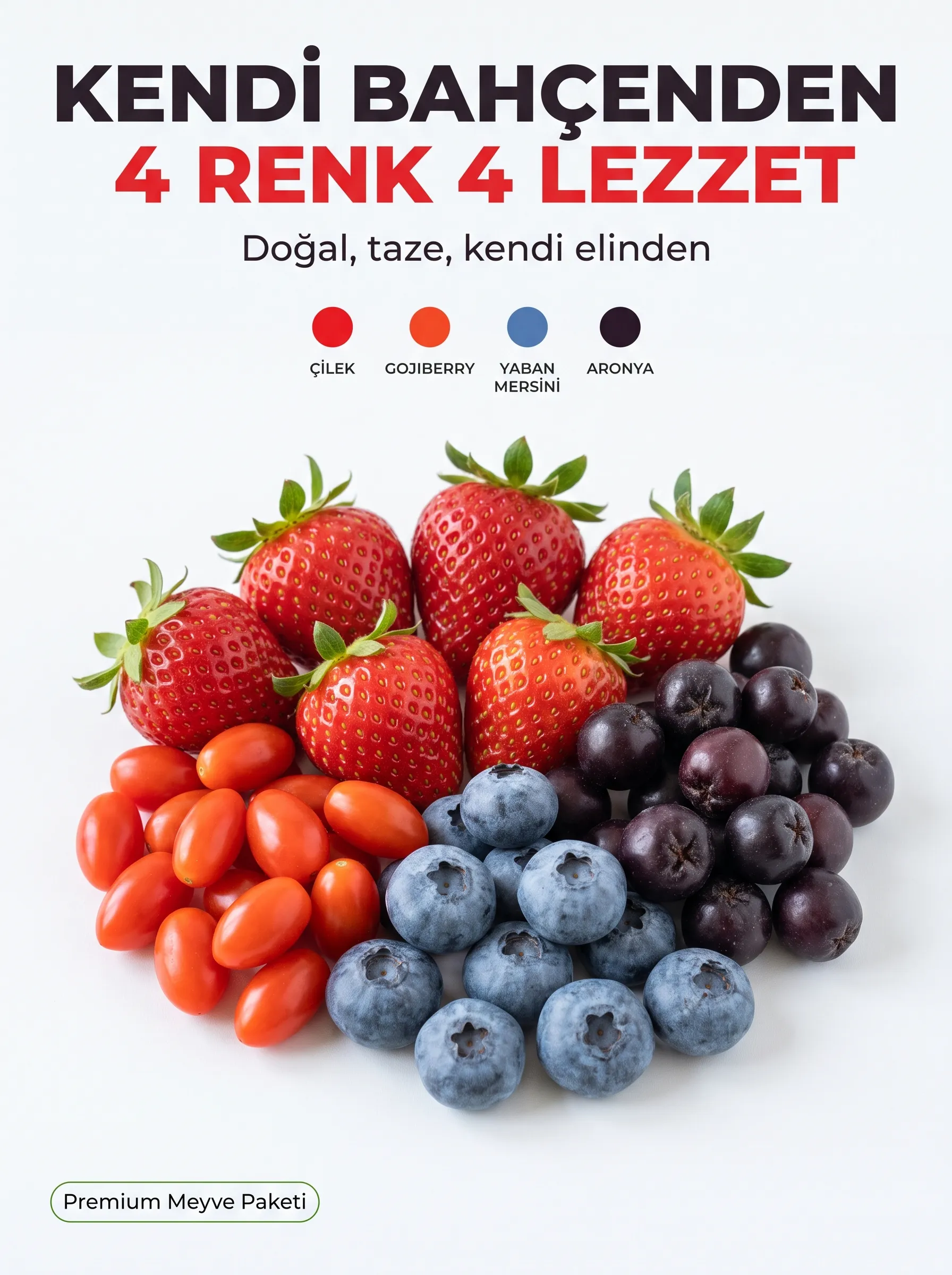 Premium Meyve Paketi - Görsel 1