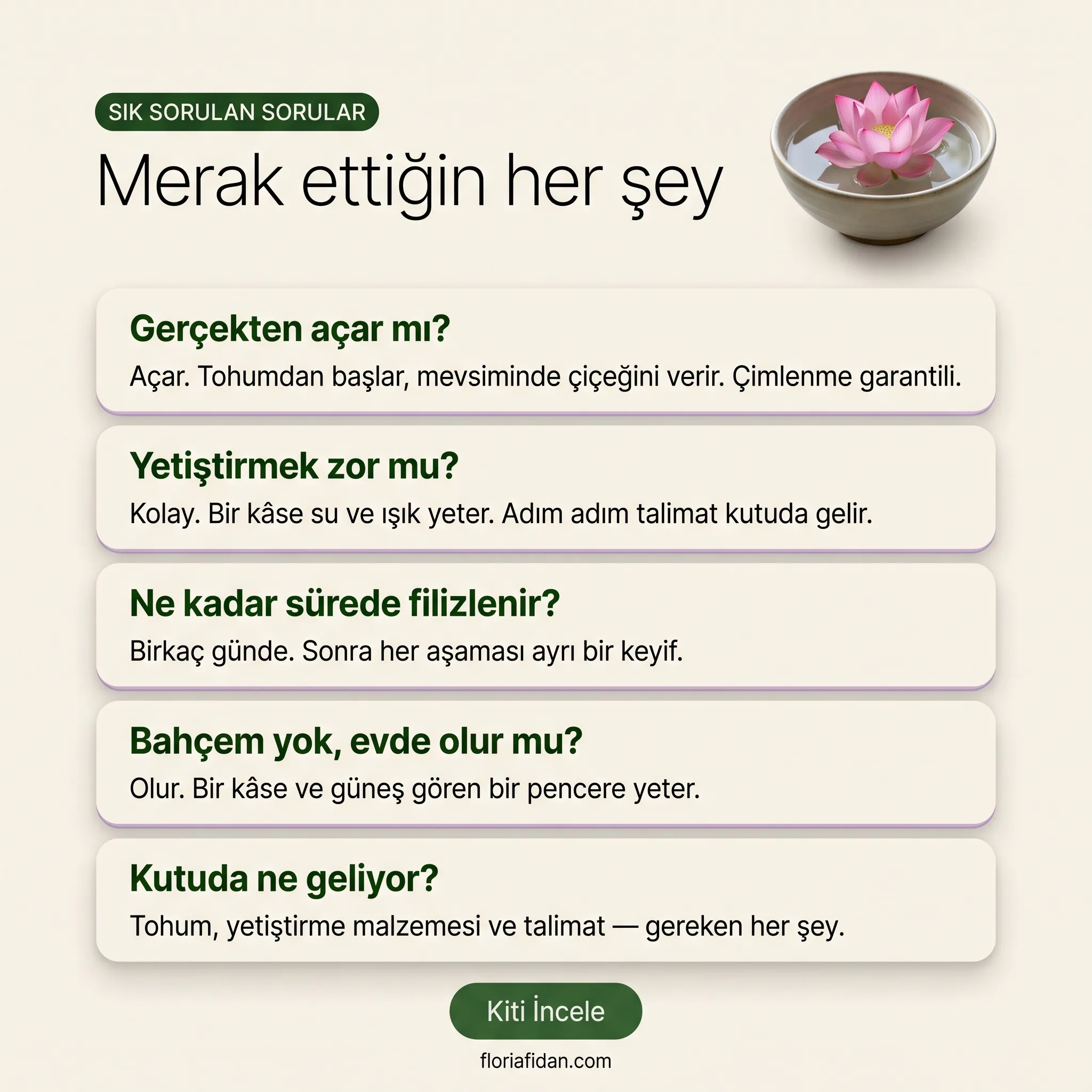 Lotus Yetiştirme Paketi - Görsel 10