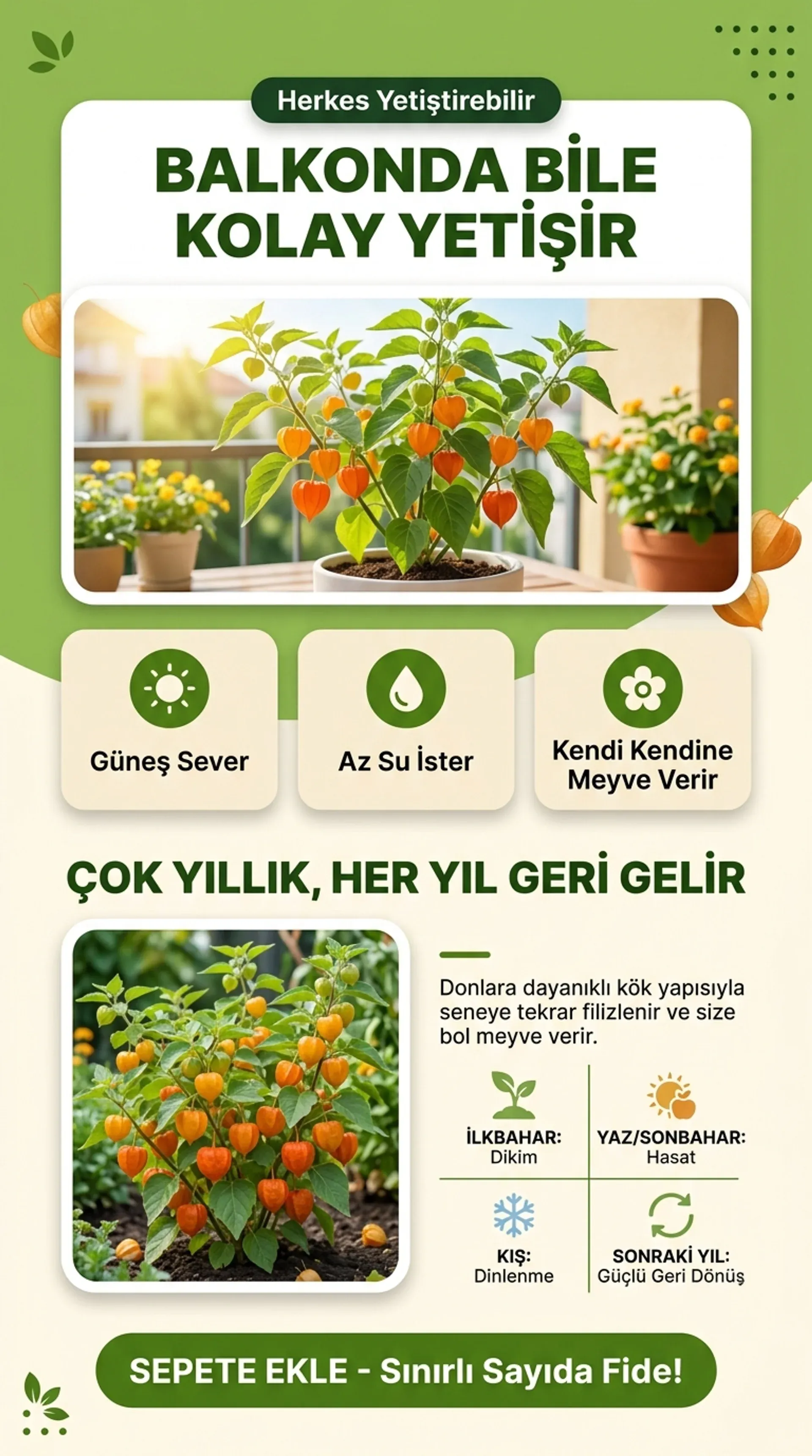 Altın Çilek Kampanyası - Görsel 4