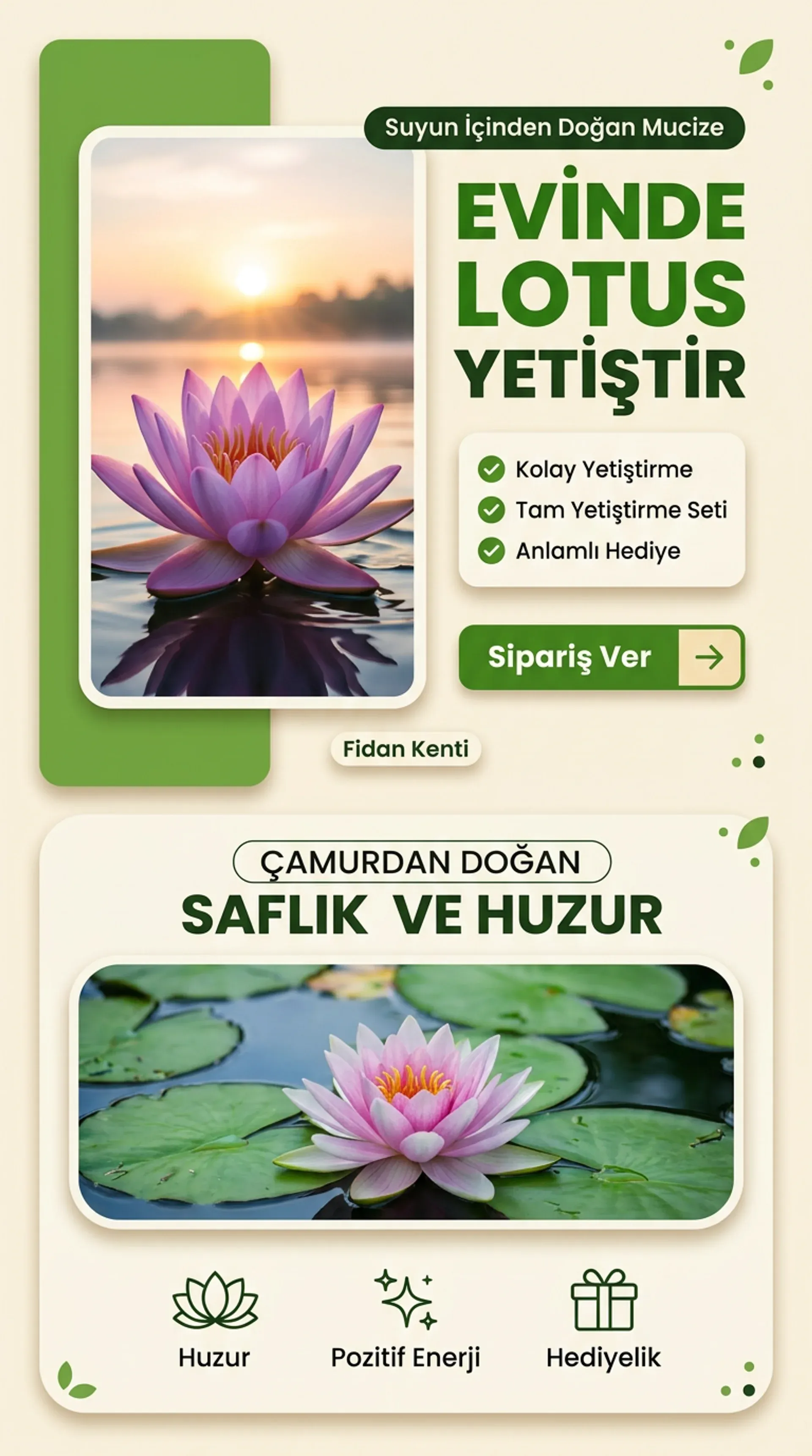 Lotus Yetiştirme Kiti - Görsel 2