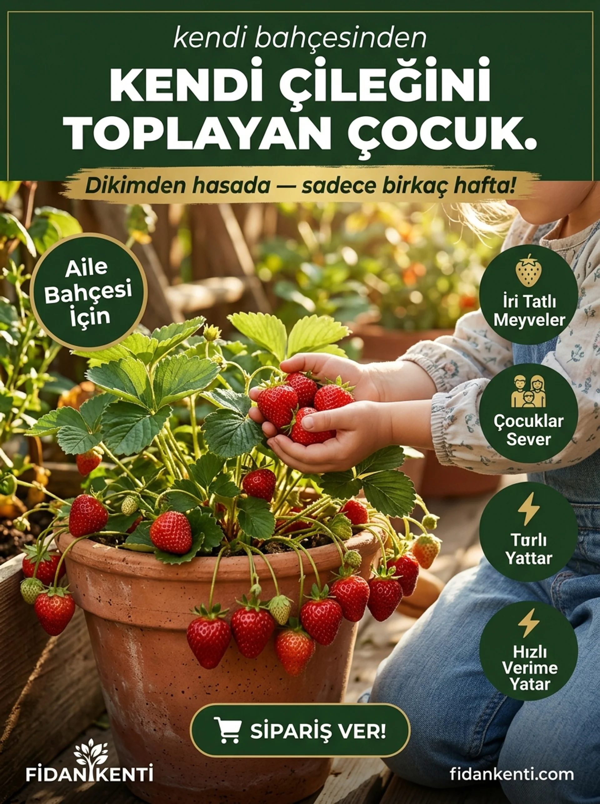 Albion Yediveren Çilek Kampanyası - Görsel 3
